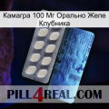 Камагра 100 Мг Орально Желе Клубника 34